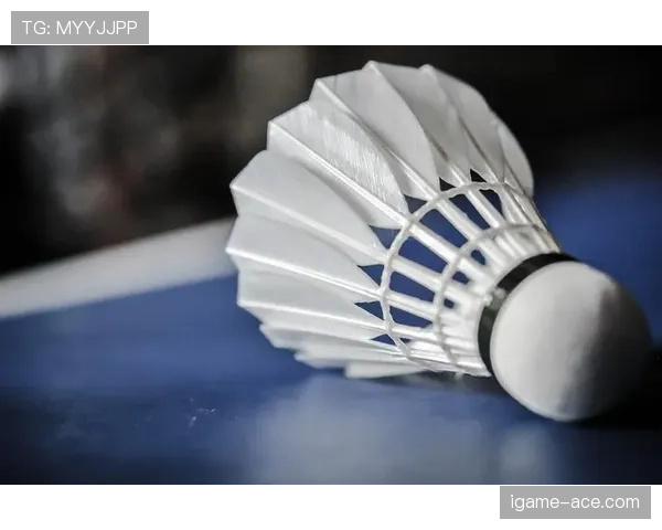 控球权的定义是什么？详细解析其判定规则与应用场景