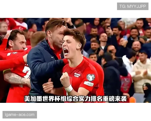 世界杯美国队D组对手实力分析 世界杯美国队D组对手实力分析